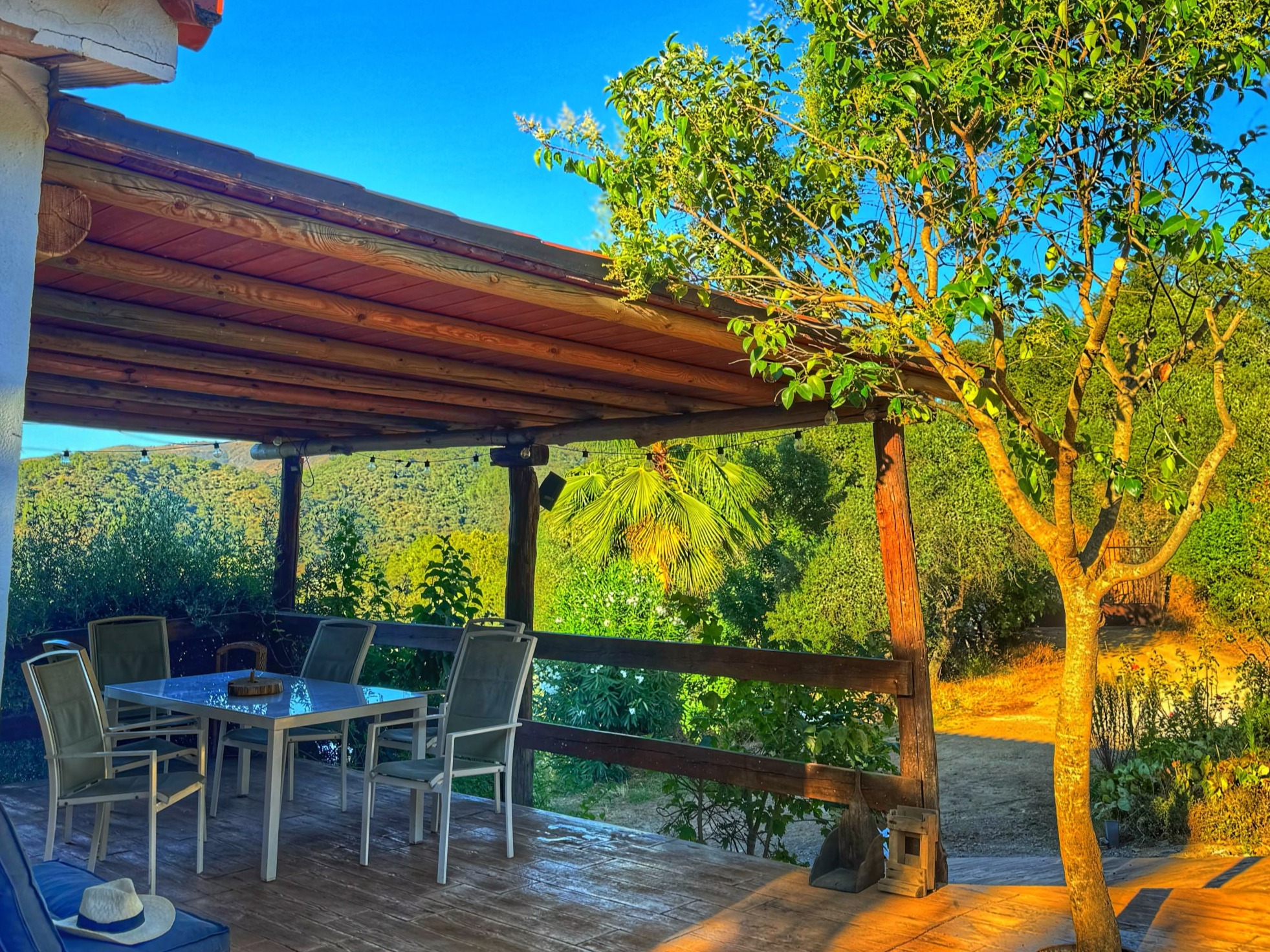 Finca Charco la Olla