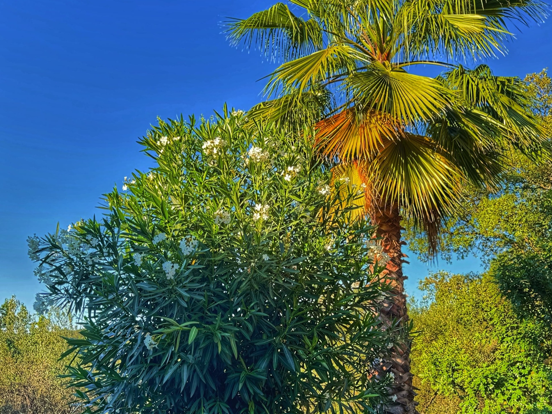 Finca Charco la Olla