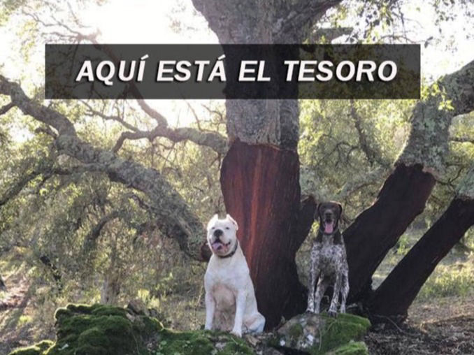 Finca Charco la Olla