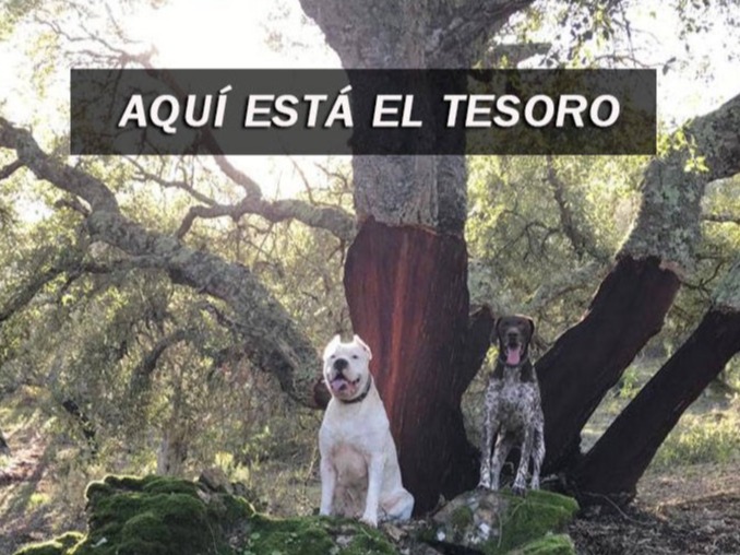 Finca Charco la Olla