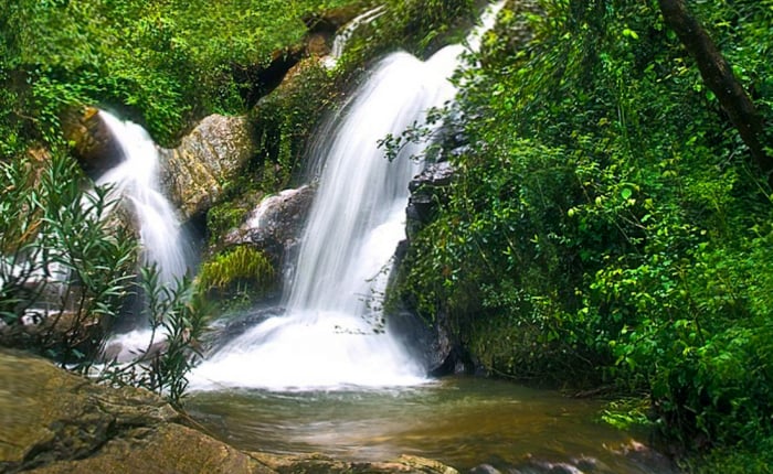 Finca Charco la Olla